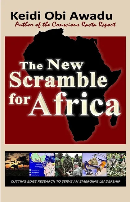 The New Scramble for Africa - Paperback