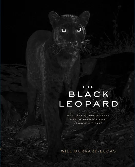 The Black Leopard: My Quest to Photograph One of Africa's Most Elusive Big Cats - Hardcover