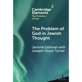 The Problem of God in Jewish Thought - Hardcover