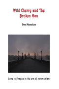Wild Cherry and The Broken Man - Paperback