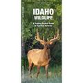 Idaho Wildlife: A Folding Pocket Guide to Familiar Animals - Paperback
