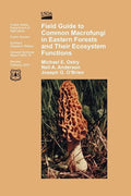 Field Guide to Common Macrofungi in Eastern Forests and Their Ecosystem Function - Paperback