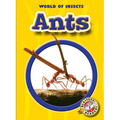 Ants - Paperback