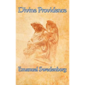 Divine Providence - Hardcover