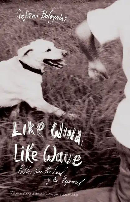 Like Wind, Like Wave - Paperback