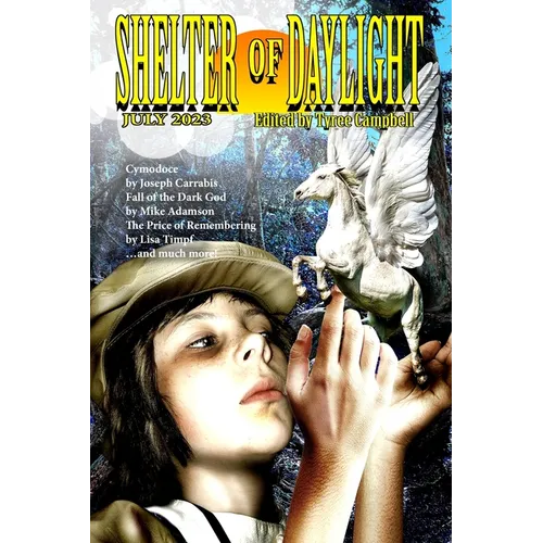 Shelter of Daylight July 2023 - Paperback