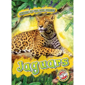 Jaguars - Library Binding