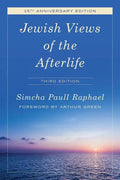 Jewish Views of the Afterlife - Paperback