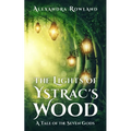 The Lights of Ystrac's Wood - Paperback