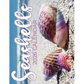 Seashells 2026 Calendar - Paperback