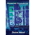Momentary Illumination of Objects In Motion - Paperback