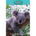 Koalas - Paperback