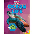 Ocean Life - Paperback