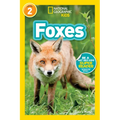 Foxes (National Geographic Kids Readers, Level 2) - Paperback