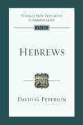 Hebrews: An Introduction and Commentary - Paperback