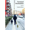 Terminal Destination - Paperback