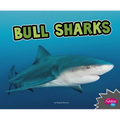 Bull Sharks - Paperback