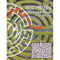 Big Mazes Puzzles Book For Adults: Challenge and Fun for your Brain, Square Mazes Level Two-Player Mazes Books for Beginner to Expert, Maze Puzzle Boo - Paperback