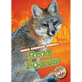 Gray Foxes - Library Binding