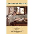 Spiderweb - Paperback