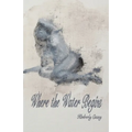 Where the Water Begins - Paperback