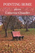 Pointing Home - Paperback