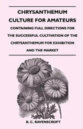 Chrysanthemum Culture For Amateurs: Containing Full Directions For the Successful Cultivation of the Chrysanthemum For Exhibition and the Market - Paperback