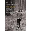 Not Saved: Essays After Heidegger - Paperback