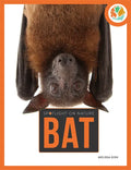 Bat - Paperback