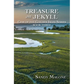 Treasure on Jekyll: Gem of the Golden Isles Series Book Three - Paperback