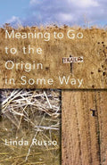Meaning to Go to the Origin in Some Way - Paperback