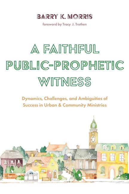 A Faithful Public-Prophetic Witness: Dynamics, Challenges, and Ambiguities of Success in Urban & Community Ministries - Paperback