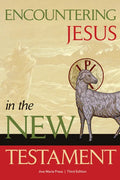 Encountering Jesus in the New Testament - Paperback