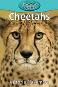 Cheetahs - Paperback