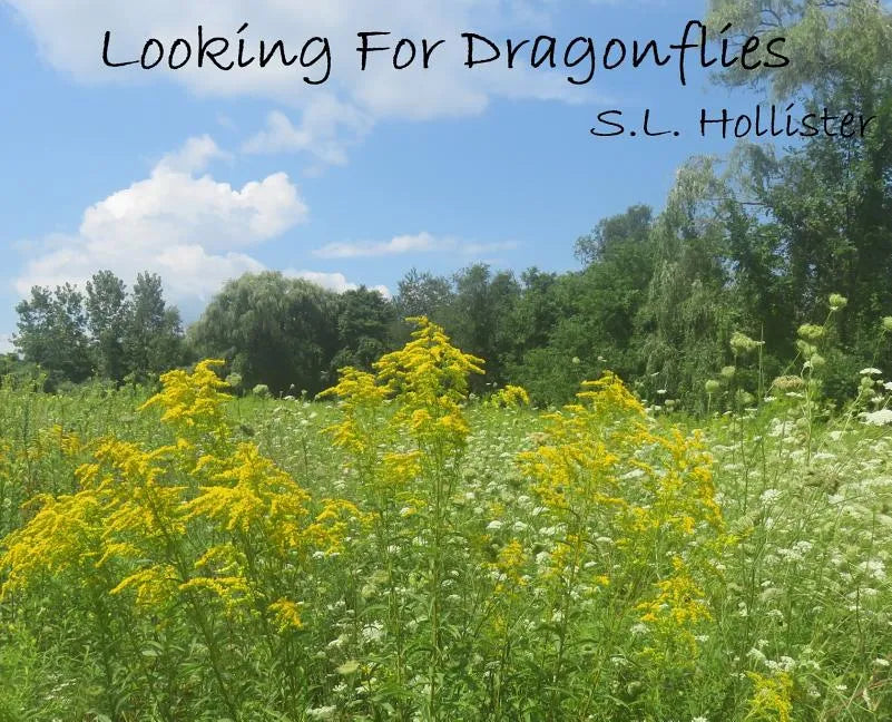 Looking For Dragonflies - Hardcover