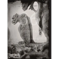 Tomas Van Houtryve: 36 Views of Notre Dame - Hardcover