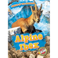 Alpine Ibex - Library Binding