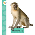 Monkeys - Paperback