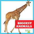 Biggest Animals - Library Binding