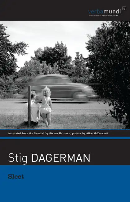 Sleet: Selected Stories - Paperback