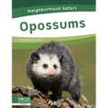 Opossums - Library Binding