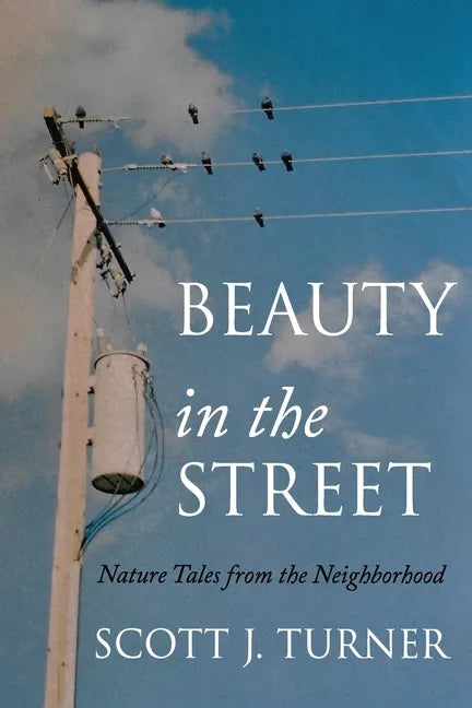 Beauty in the Street: Nature Tales from the Neighborhood - Paperback