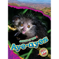 Aye-Ayes - Library Binding