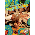 Copperheads - Library Binding