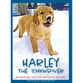 Harley the Snowdiver: Adventures with the Woodland Animals - Hardcover