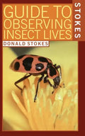 Stokes Guide to Observing Insect Lives - Paperback
