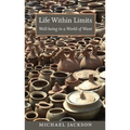Life Within Limits: Well-being in a World of Want - Paperback