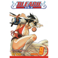 Bleach, Vol. 9 - Paperback