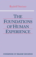 The Foundations of Human Experience: (Cw 293 & 66) - Paperback