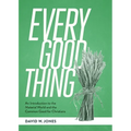 Every Good Thing: An Introduction to the Material World and the Common Good for Christians - Paperback